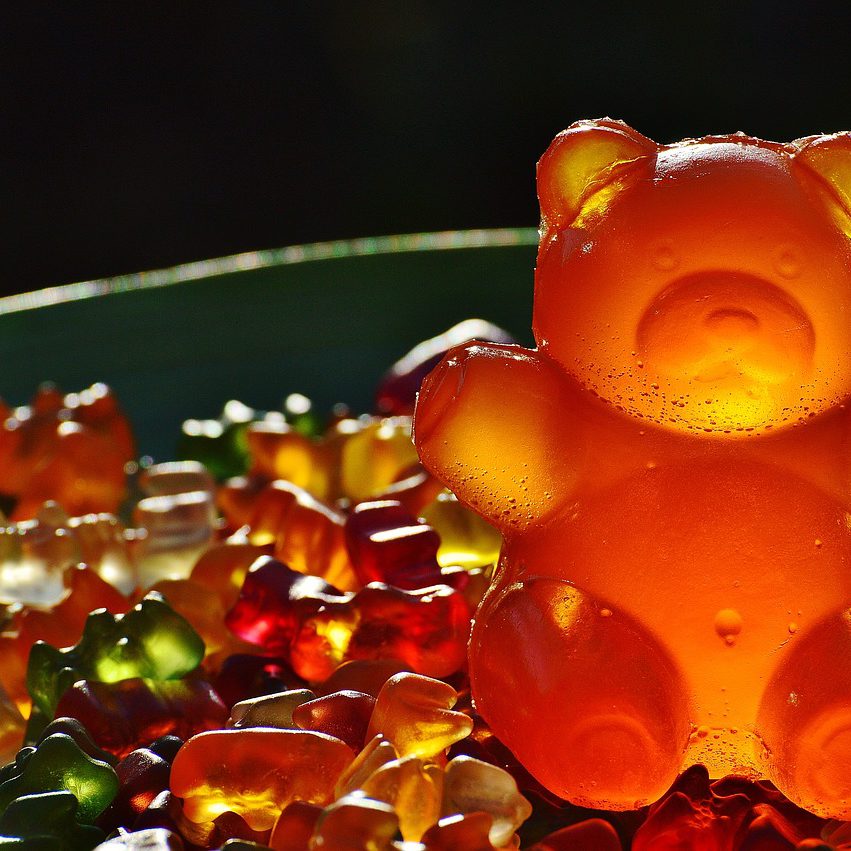 Haribo-ours