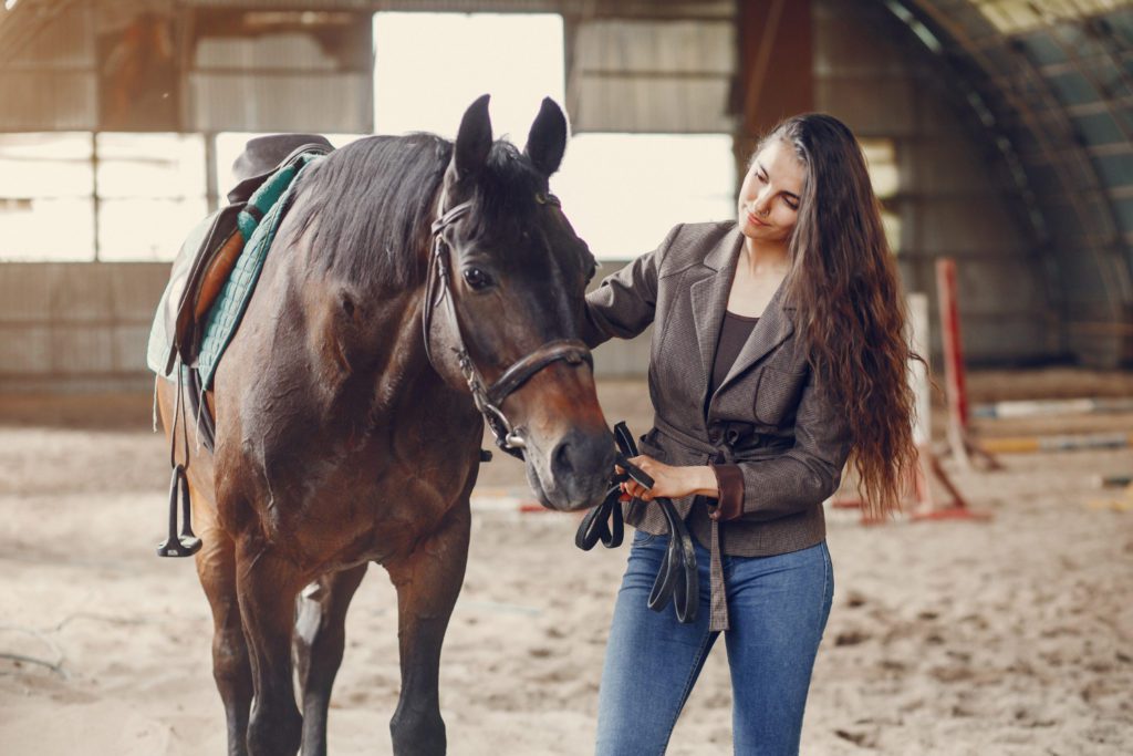 equipement cheval  Equitation, Equipement cheval, Accessoires pour chevaux